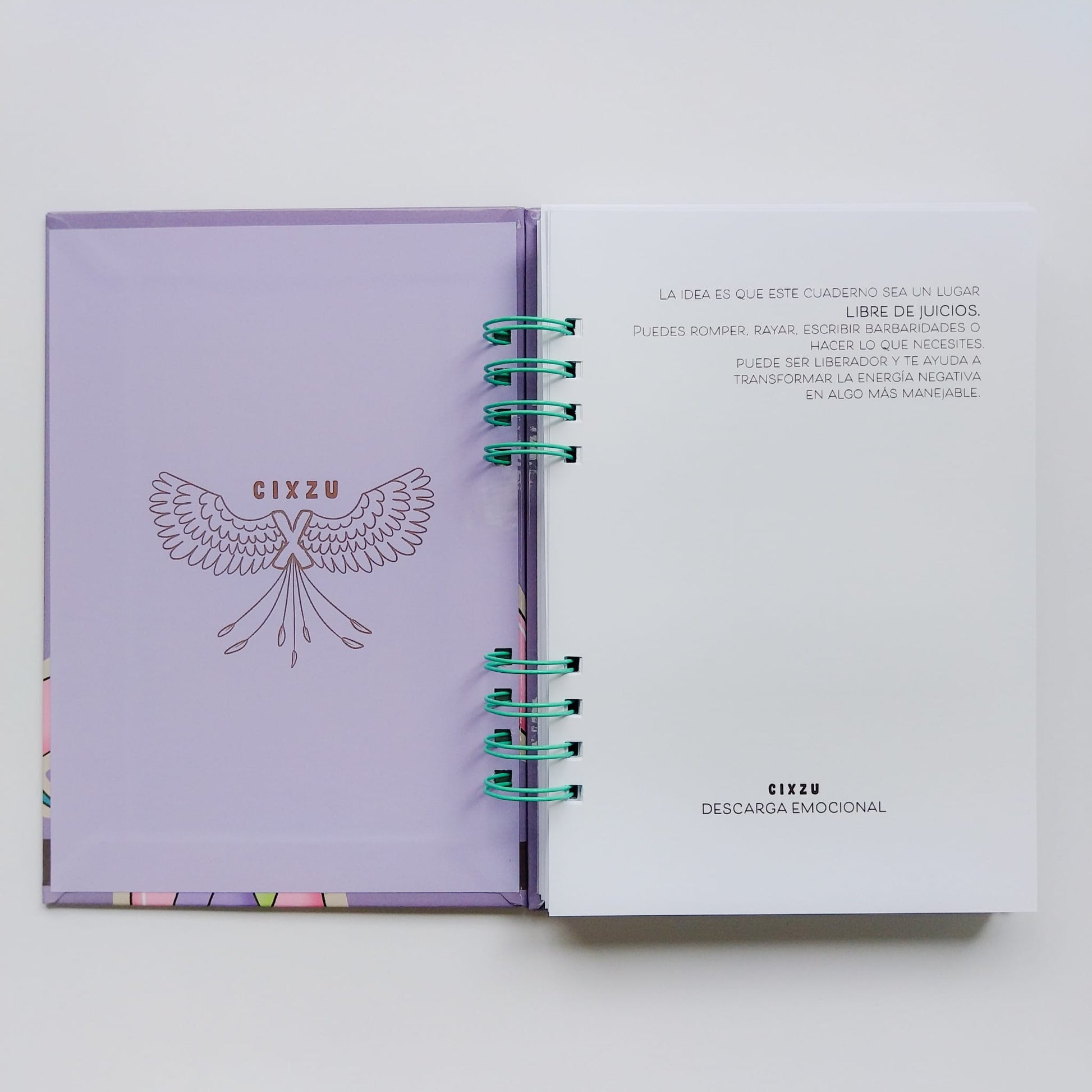 interior-cuaderno-manda-todo-mierda