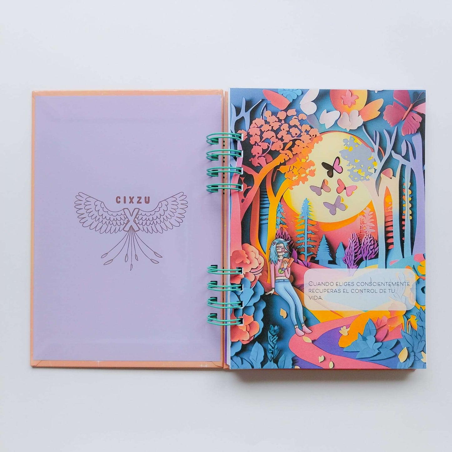 interior-elegir-control-vida